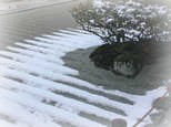 枯山水に雪!